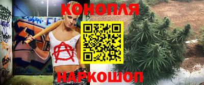 прущие крисы Апрелевка