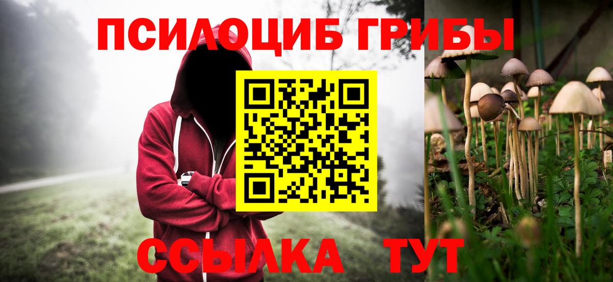 где продают наркотики  Вход с VPN  Галлюциногенные грибы GOLDEN TEACHER  Аргун  Псилоцибиновые грибы Psilocybine cubensis 